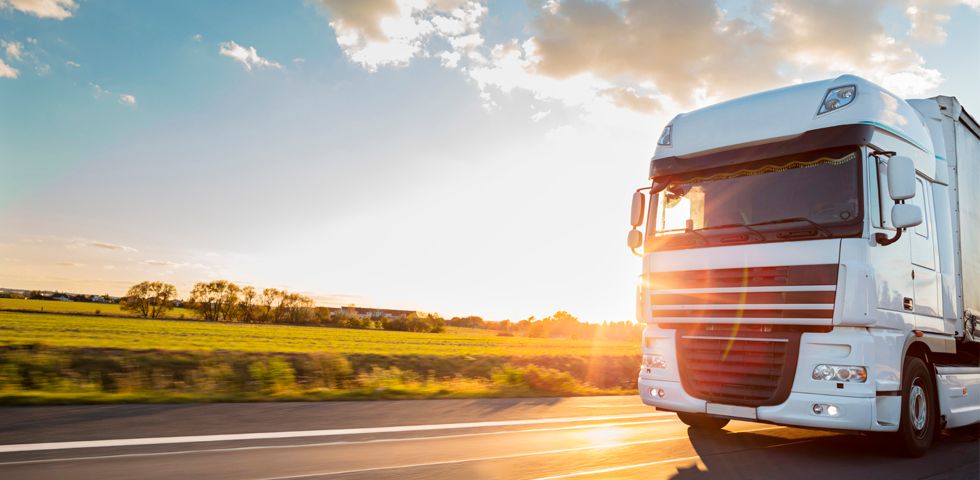 Free shipping to business addresses *Terms apply.